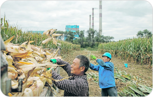 time for asean to step up to biotechnology in food production. 