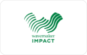 wavemaker impact