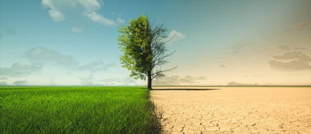 climate change from drought to green growth